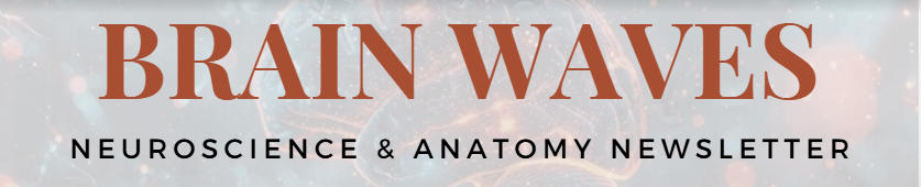Brain Waves | Department Newsletter