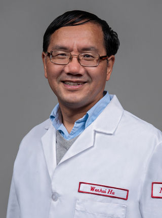 Wenhui Hu, M.D., Ph.D.